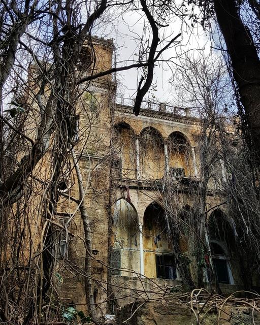 Abandoned..Only Old trees live here..🕸 oldhouse  runningphotos ... (Beirut, Lebanon)