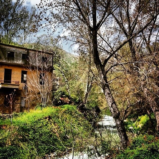 Abandoned River  Zahle  Lebanon  Wadi  Arayesh  Bardawni  River  Bekaa ... (وادي العرايش)