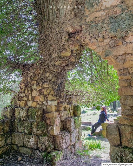 Abandoned Roman Baths site • Beit-Meri Lebanon 🇱🇧........ (Beit Meri, Mont-Liban, Lebanon)