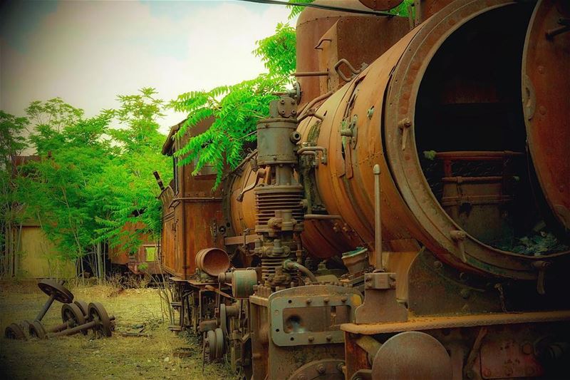 .🚂 Abandoned train station • 🅵🅾🆄🅽🅳🅴🅳 🅸🅽 1898 🇱🇧————————————• (Beqaa Valley)