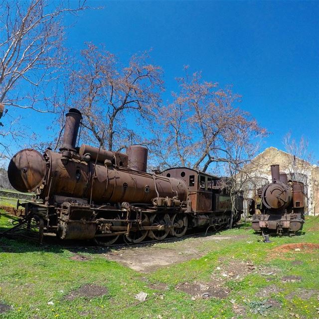 Abandoned under the bleeding sun 💚 train  trailway  abandoned ... (Beqaa Valley)