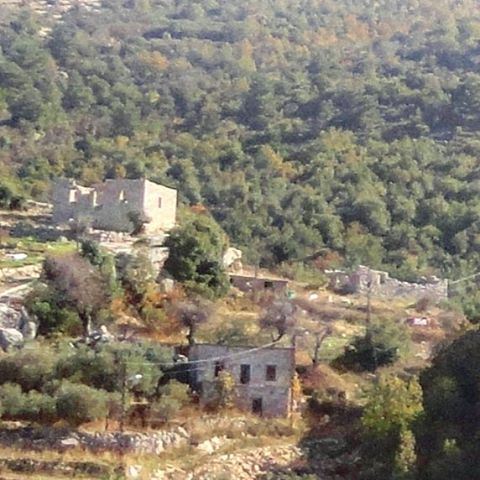 abandonedhouse oldstonehouse oldarchitecture emtyhouse desertedhouse neglectedhouse natureverte (Hardine, Lebanon)