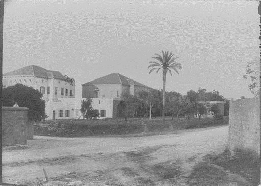 Abdel Aziz Street and Bliss Street  1890s