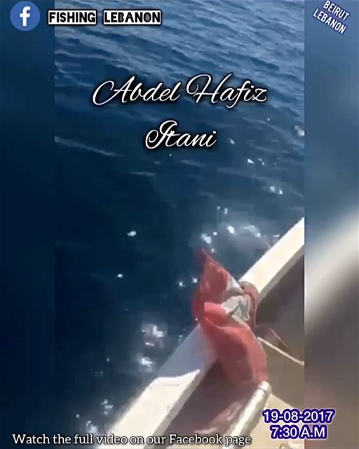 Abdel Hafiz Itani @abed_itani_ @fishinglebanon @instagramfishing @jiggingwo (Beirut, Lebanon)