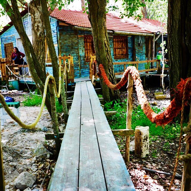  abdelli  village  forest  house  wood  north  lebanon  mylebanon ... (Abdelli, Liban-Nord, Lebanon)