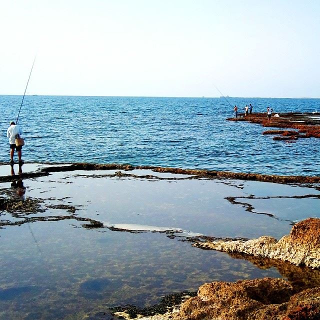 Abed El Wahhab island.... Tripoli! island  nature  TripoliLB ...
