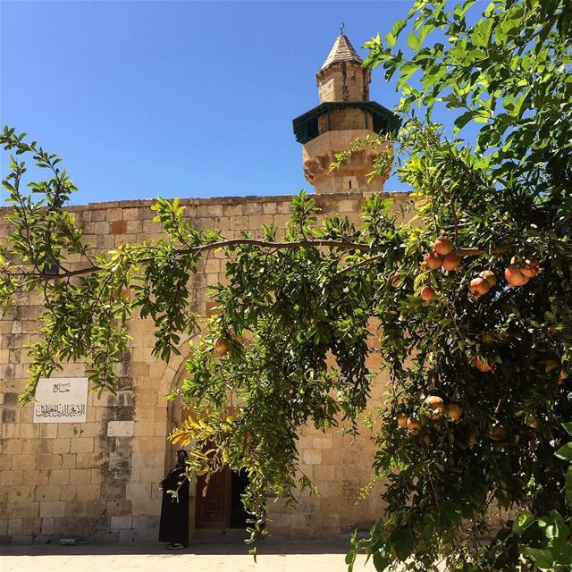 About faith and pomegranates...  chouf  darelqamar  livelivechouf  liban ... (Deir el Qamar Synagogue)