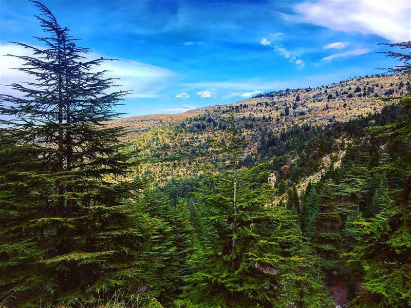  about today adventure adventuretime adventurelife lifehappensoutdoors... (Horsh Ehden)