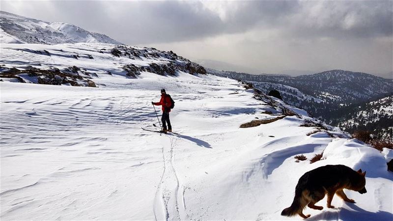  aboutlastweekend  wintersportsWhat are your  plans for the  weekend ?... (Al Qubayyat, Liban-Nord, Lebanon)