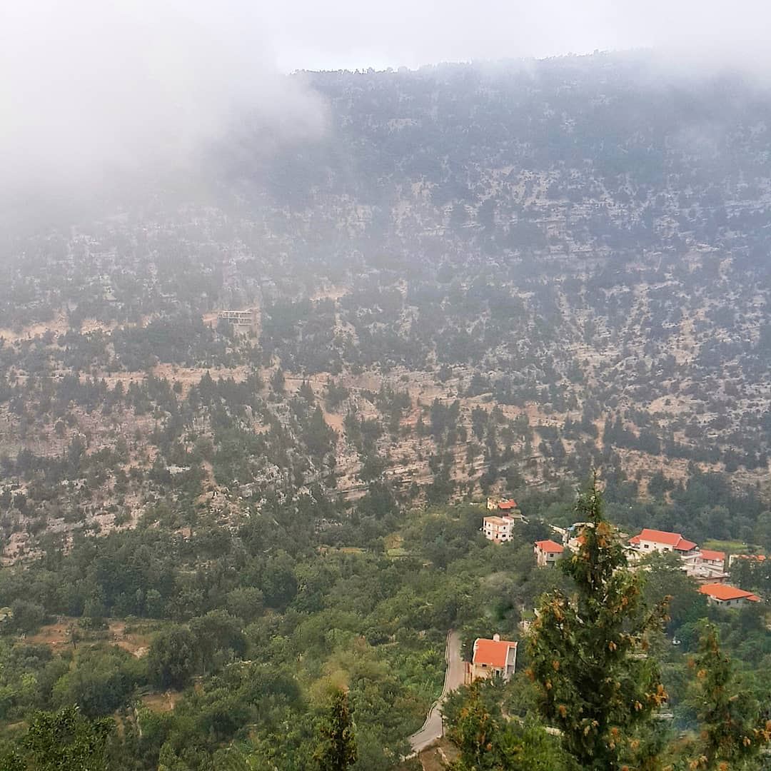 Above the clouds 💚🏡 (Bouhaïret Toûla, Liban-Nord, Lebanon)