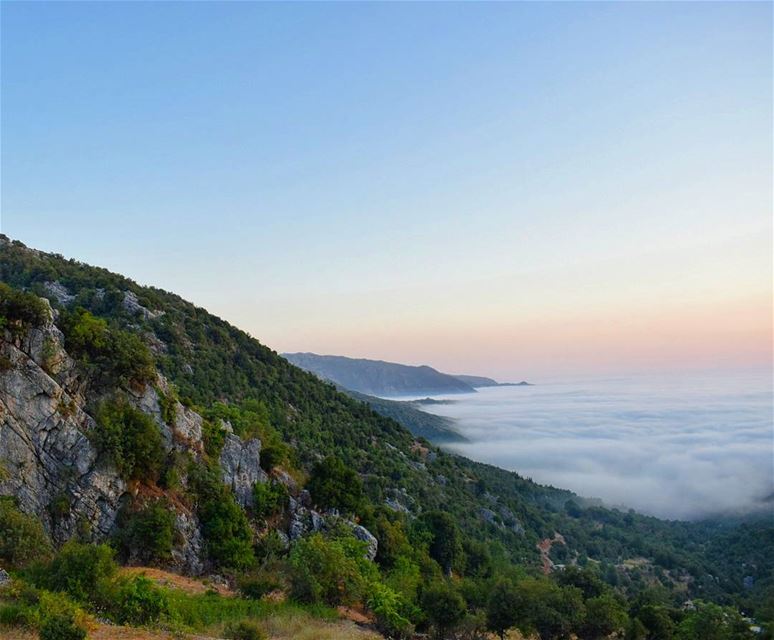 Above The Clouds 🌤... livelovebeirut  insta_lebanon  mountaineering ...