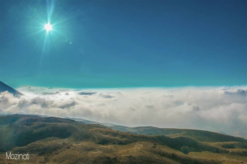 Above the coulds the Sky Is Always Blue..-_-_-_-_-_-_-_-_--__--_-_-_-_-_-_ (Cedars of God)