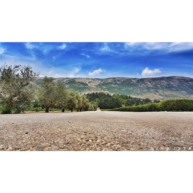 Accept the truth, I'm not the owner of this beautiful nature. I will keep... (Château Kefraya)