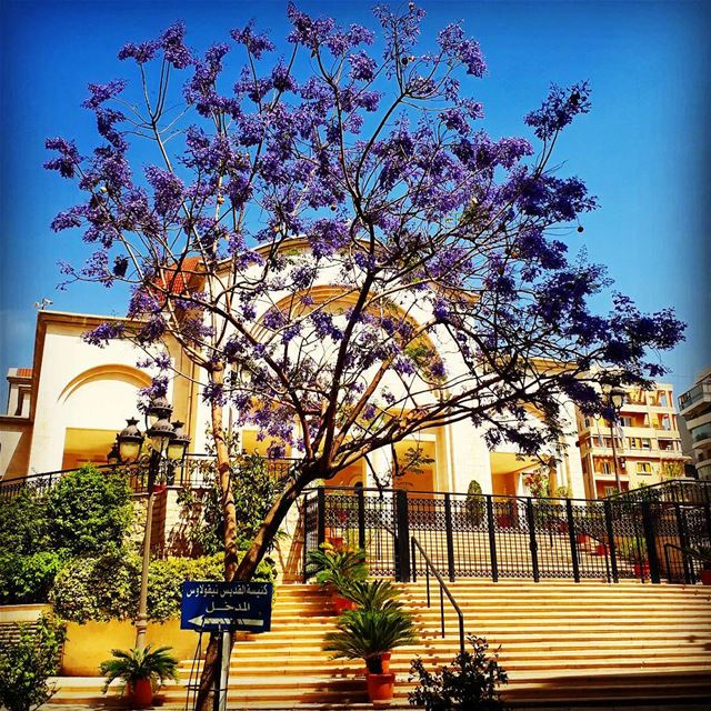  achrafiye  stnicolas  church  blessings  bluesky  trees  purple  stairs ... (Achrafieh St. Nicolas Church)