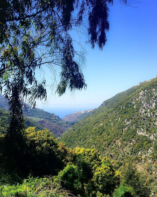 Across the  mountains and to the  sea  beautifulview  mountainlovers ...