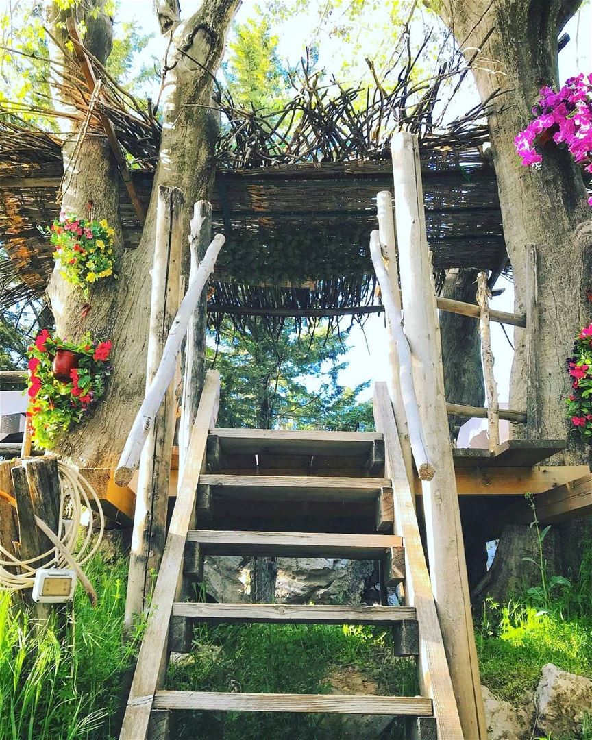@adghal_restaurant -  Come up to the treehouse!  adghal  lebanon ... (Adghal Restaurant - Feytroun)