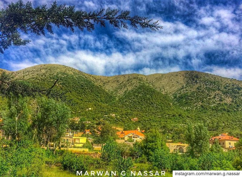 Adopt the pace of nature.. Her secret is patience.....📍Maaser El Shouf, (Maaser El Shouf Cedar Reserve محمية ارز معاصر الشوف)