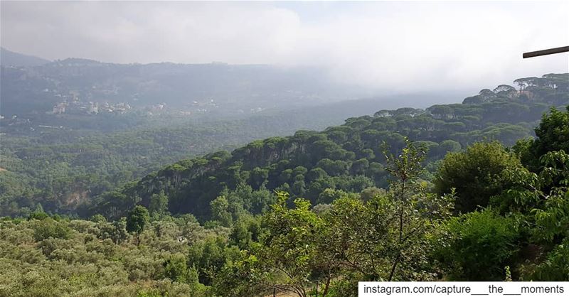 Adopt the pace of Nature: her Secret is Patience 🤩  nature  beauty ... (Bkâssîne, Al Janub, Lebanon)