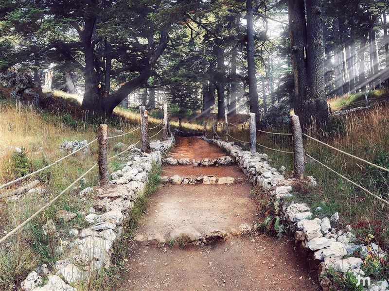-Adventure awaits -... cedars  cedarsofgod  livelovecedars ... (The Cedars of Lebanon)
