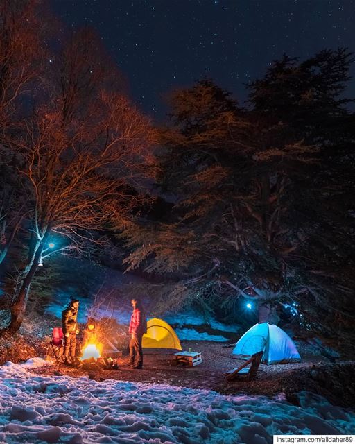 Adventure is where i set up my tent ⛺✨..... landscape... (Cedars Ground Campsite)