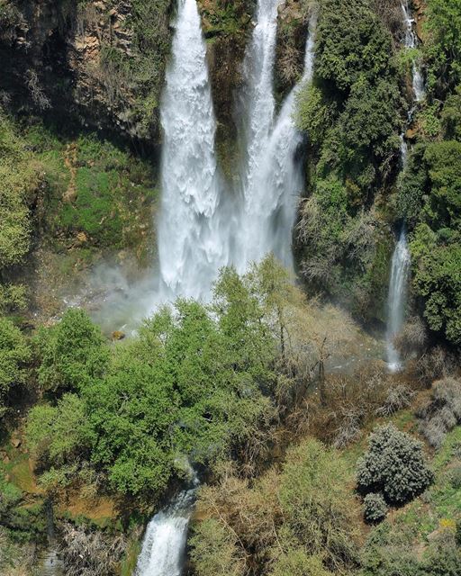 Advice from a  Waterfall go with the  flow ,roar with excitement. Let your... (Bsatin Al-Ossi Waterfalls)