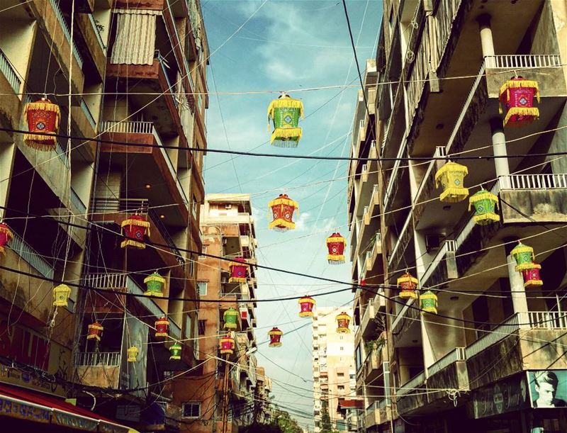 Aerial Invasion  alwayslookingup  urban  jungle  lebanese  citylife ... (Tyre, Lebanon)