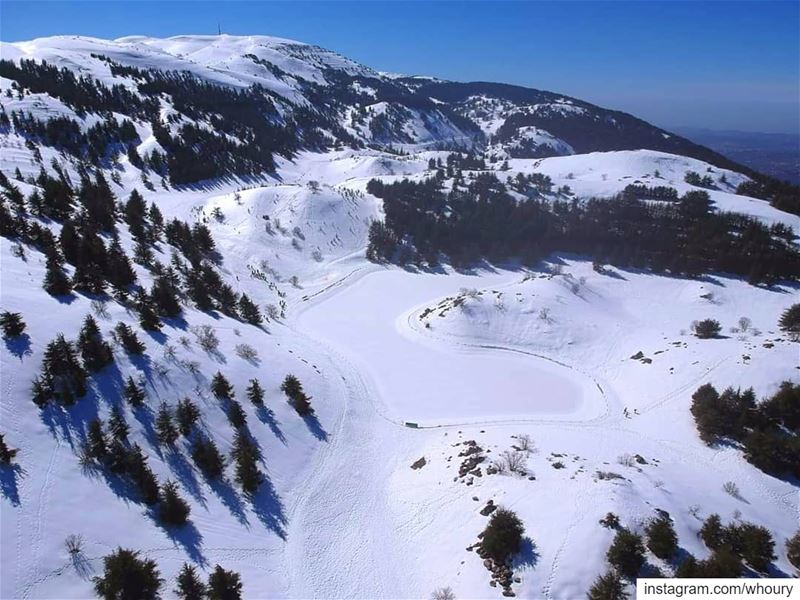  aerialphotography aerial dronefly dronestagram dronephotography drone dji... (Al Shouf Cedar Nature Reserve)