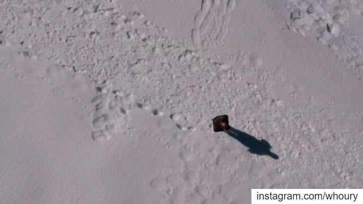  aerialphotography aerialvideo drone dji lebanon movie video shouf snow... (Al Shouf Cedar Nature Reserve)