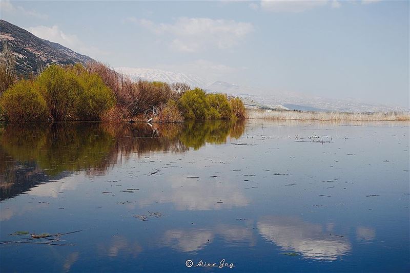 •aes·thete•beauty, art & nature nature  walk  outdoor  reflection ... (`Ammiq, Béqaa, Lebanon)