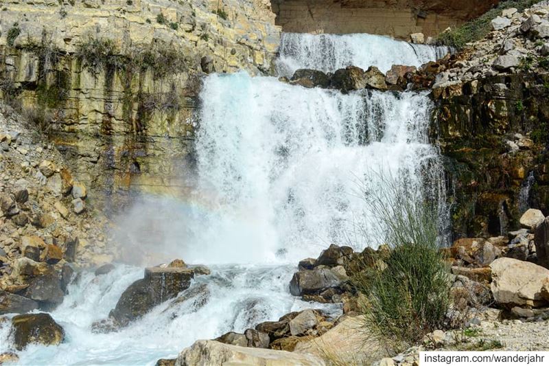 Afqa Endless waters! 🌊💙🇱🇧 nature  hiking  trail  lebstory ... (Afqa)