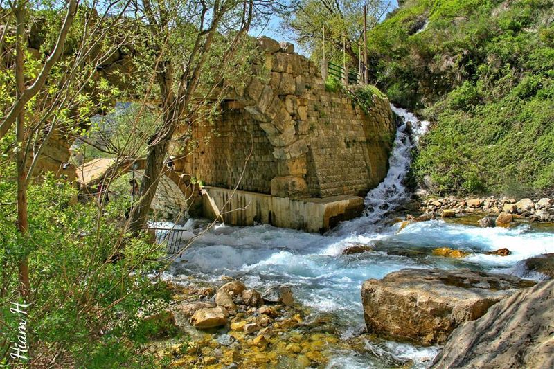  (Afqa-jbeil)