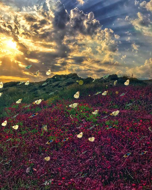 AFTER & BEFORE AND A DIFFERENT VERSION IN MY STORY ....  lebanonspotlights... (Beirut, Lebanon)