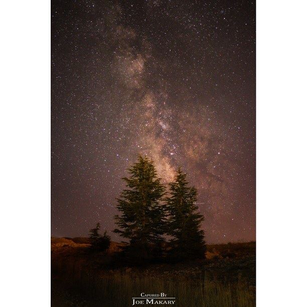 After sunset there comes a peaceful night cedars  cedarsofgod  trees ...