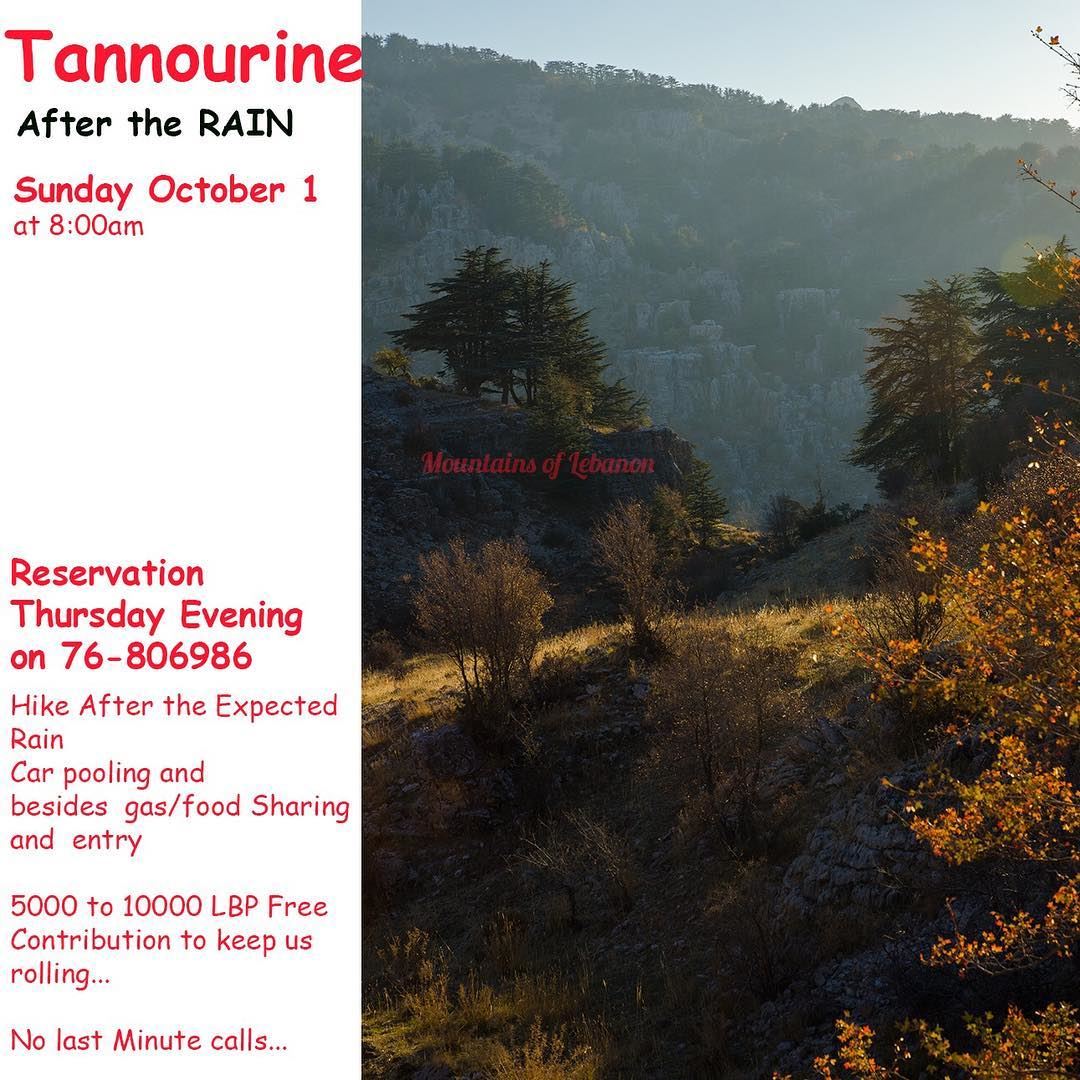 After The First Rain, Sunday we're Walking and smelling the fresh earth at... (Cedar Reserve Tannourine)