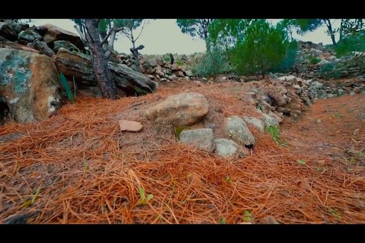 After the Rain 🌳🍁💦🌿💧🍂  aftertherain  To watch full video : go to the... (Hasbayya, Al Janub, Lebanon)