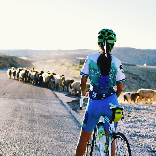 After work 🚲🚲 .. cycling  lebanon mountains  scottbikes summertime ...