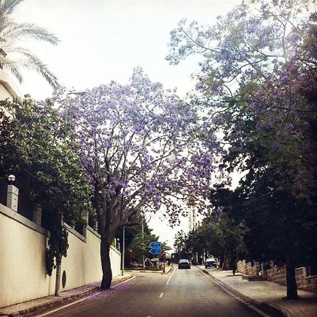 Afternoon ride 🏡Photo credits: @rubadoueihi  fromtheeyesofalebanese ...