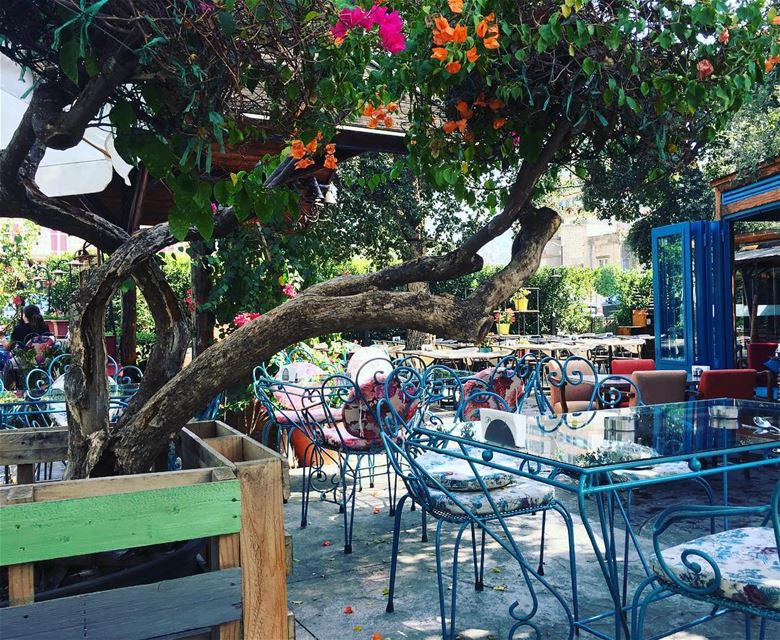  afterwork  niceplace  garden  flowers  colourful  yummy  delicious  food ...