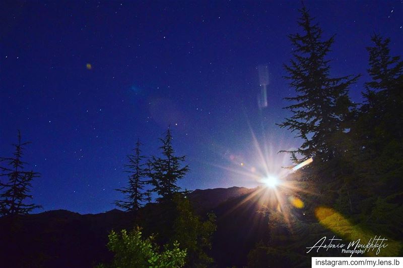 Aim for the moon. If you miss, you may hit a star.  ehden  ehdenspirit ... (Horsh Ehden Nature Reserve)