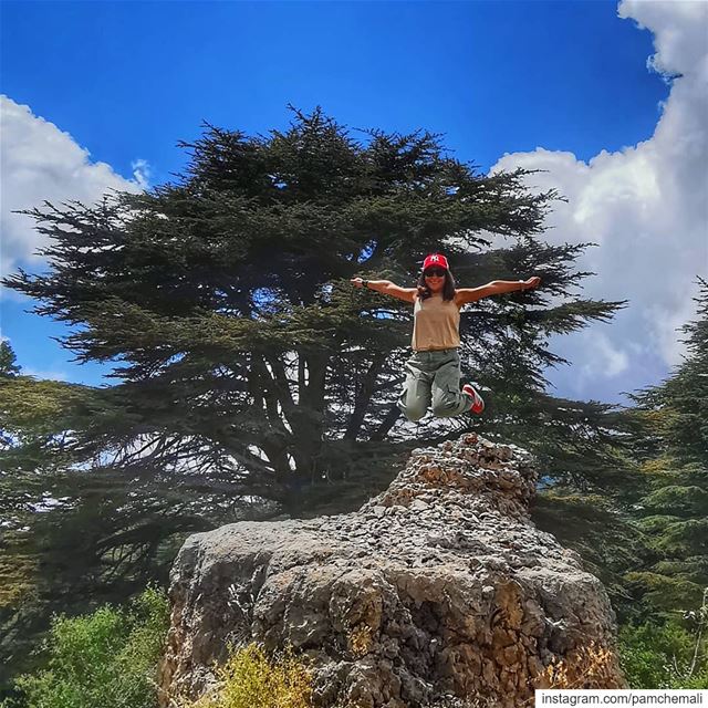 Aim  high and you won't shoot your foot off 🤞@huaweimobile huaweip30pro... (Cedar Reserve Tannourine)