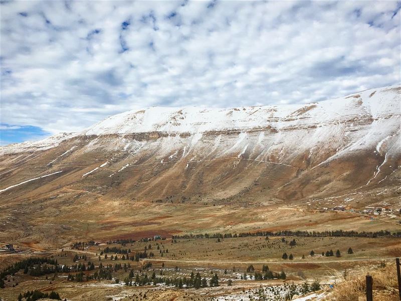 Aim high! There is little virtue in easy victory.Sir Edmund Hillary... (Cedars of God)