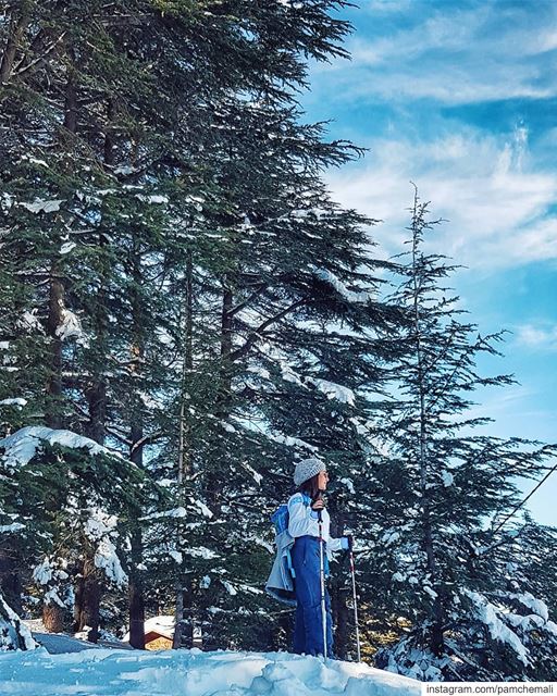 Aim high ⬆️📸 @jdched. whitedays ❄  tb🔙.. breaktheroutine ... (Hadath El-Jubbah, Liban-Nord, Lebanon)