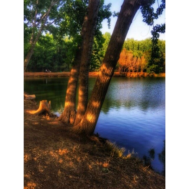 Aiming for  Peace ? Taanayel  Nature  Lake  Bekaa  Bekaavalley  Zahle ... (Taanayel Lake)