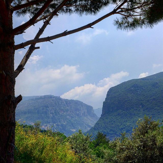 Ain’t no mountains between us 🇱🇧...... lebanon   lebanon_hdr ... (North Governorate)