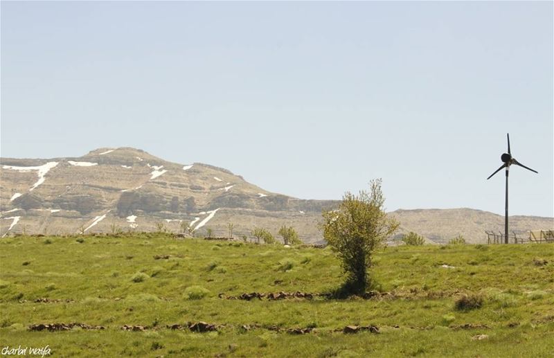 Ain't nothing better than fresh farm air... travel   Travelgram  ... (Tannourine Cedars Nature Reserve)