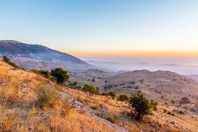 Ain Zhalta Sunset__________________________________________... (Ain Zhalta - Bmohray Cedars)