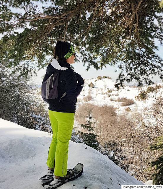  ainzhalta  cedars  reserve  snowshoeing  winter  outdoorphotography ... (Arz Aïn Zhalta)