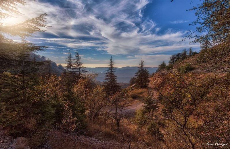  ainzhalta  shouf  lebanon  clouds @shoufreserve @authenticshouf @authentic (Aïn Zhalta, Mont-Liban, Lebanon)