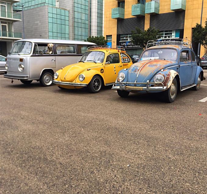 🚙🚕🚎 Aircooledmafialb aircooled_society vwlife vwbeetle volkswagenbeetle...