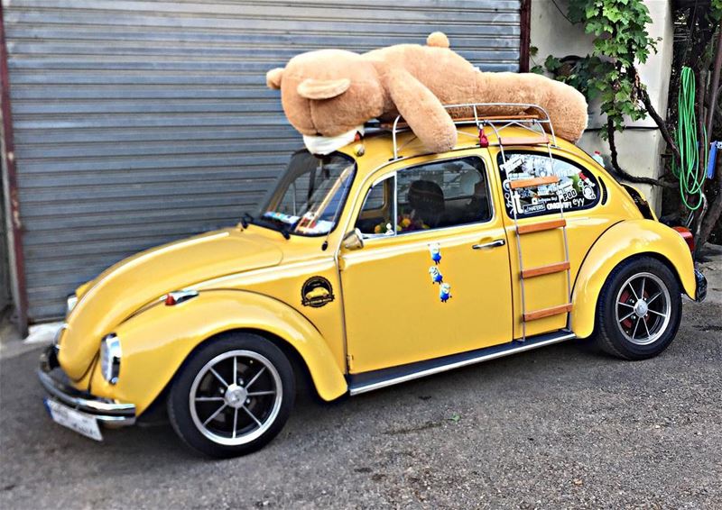 🐻 Aircooledmafialb aircooled_society vwlife vwbeetle volkswagenbeetle...
